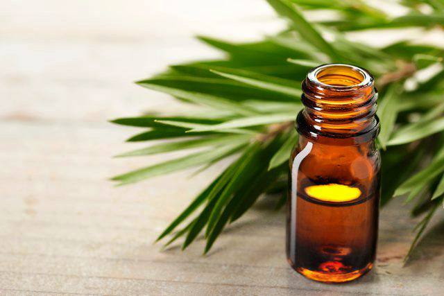 Aceite de árbol de té: la forma correcta de usarlo